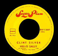 Clint Silver rock belge